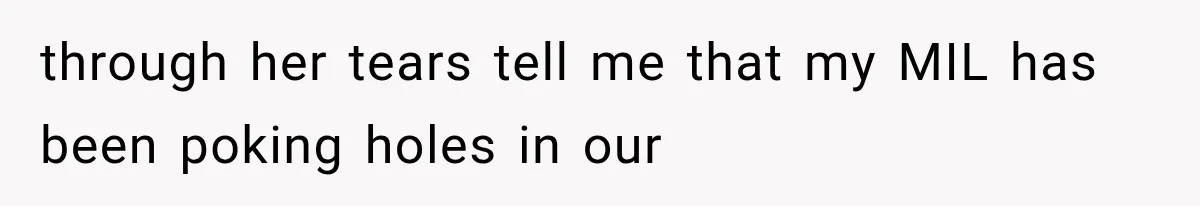 through her tears tell me that my MIL has been poking holes in our