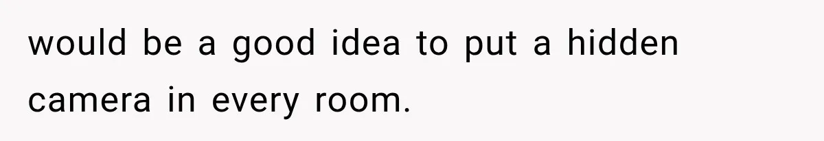 would be a good idea to put a hidden camera in every room.