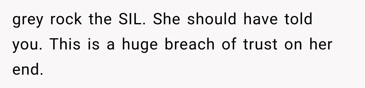 grey rock the SIL. She should have told you. This is a huge breach of trust on her end.