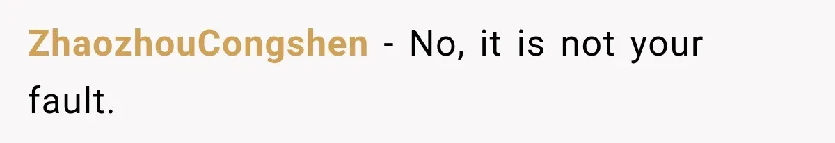 ZhaozhouCongshen − No, it is not your fault.