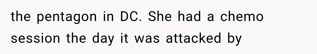 Woman Refuses To Believe Young Man Has Cancer, Then Punches The Worst Possible Stranger the pentagon in DC. She had a chemo session the day it was attacked by