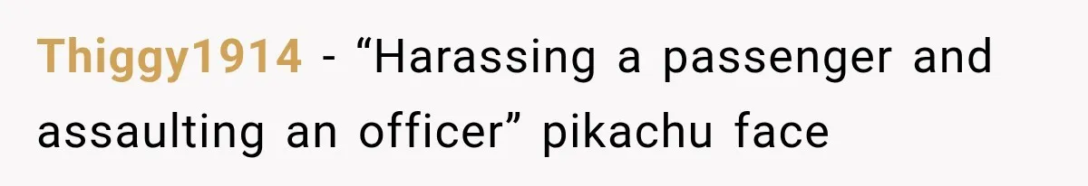 Woman Refuses To Believe Young Man Has Cancer, Then Punches The Worst Possible Stranger Thiggy1914 − “Harassing a passenger and assaulting an officer” pikachu face