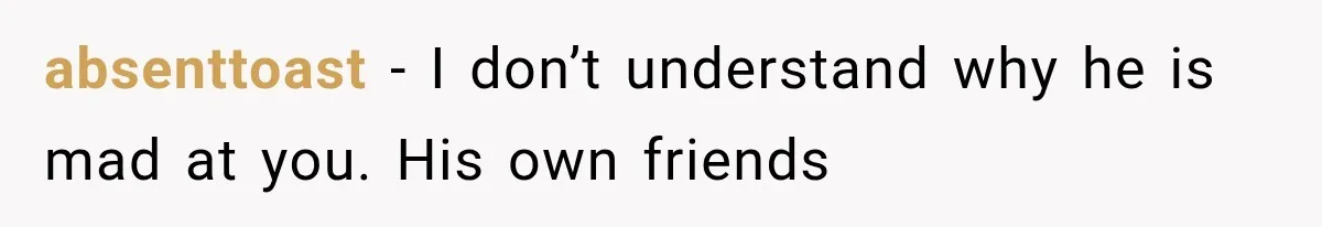 absenttoast − I don’t understand why he is mad at you. His own friends