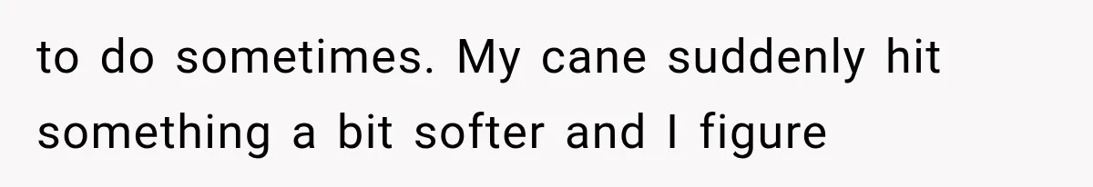Mother Claimed She Was Faking Blindness, Then Let Her Son Steal The One Thing She Needed Most to do sometimes. My cane suddenly hit something a bit softer and I figure