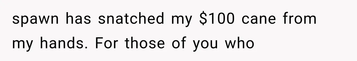 Mother Claimed She Was Faking Blindness, Then Let Her Son Steal The One Thing She Needed Most spawn has snatched my $100 cane from my hands. For those of you who