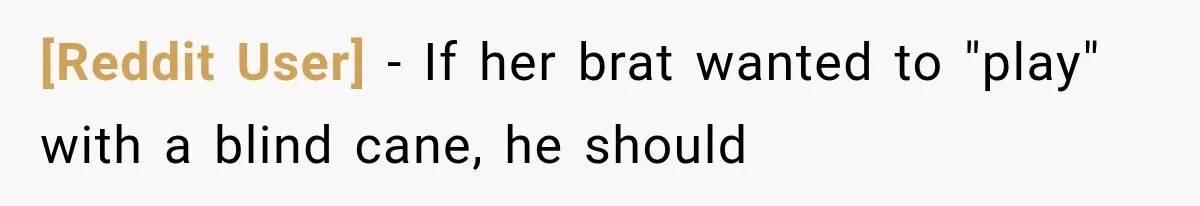[Reddit User] − If her brat wanted to "play" with a blind cane, he should