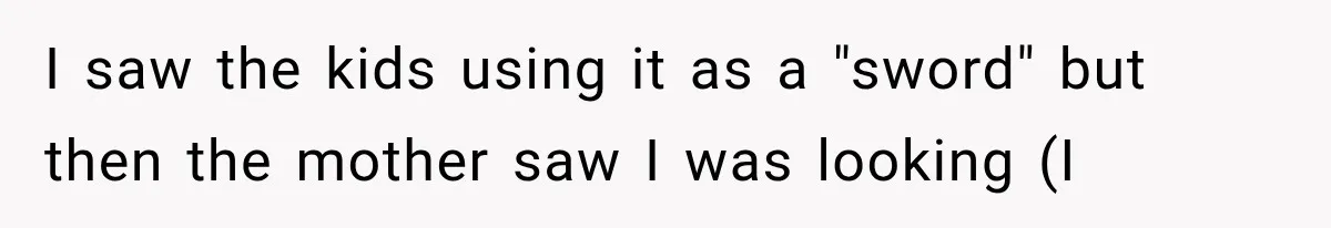 Mother Claimed She Was Faking Blindness, Then Let Her Son Steal The One Thing She Needed Most I saw the kids using it as a "sword" but then the mother saw I was looking (I