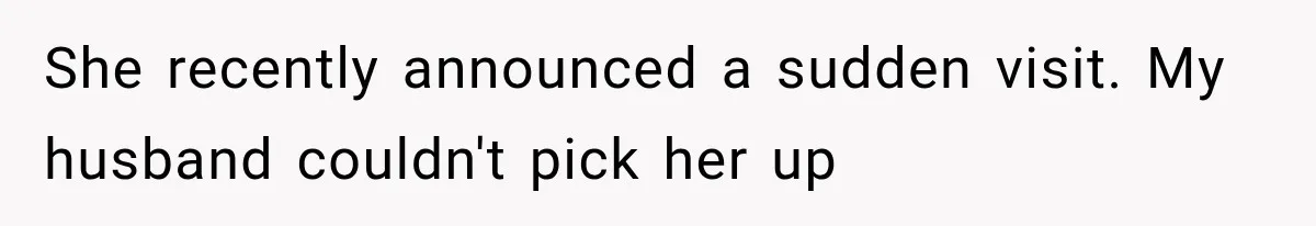 She recently announced a sudden visit. My husband couldn't pick her up