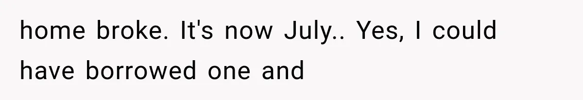 Cleaner Started Using Her Forgotten Backpack, Then Called Her Disrespectful For Taking It Back home broke. It's now July.. Yes, I could have borrowed one and
