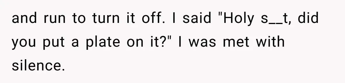 and run to turn it off. I said "Holy s__t, did you put a plate on it?" I was met with silence.
