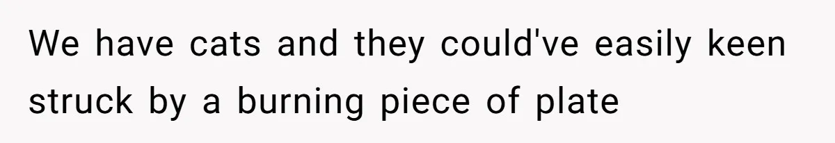 We have cats and they could've easily keen struck by a burning piece of plate