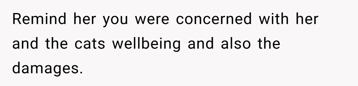 Remind her you were concerned with her and the cats wellbeing and also the damages.