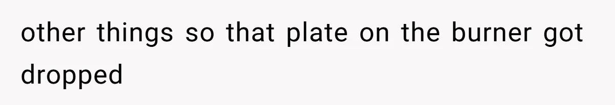 other things so that plate on the burner got dropped