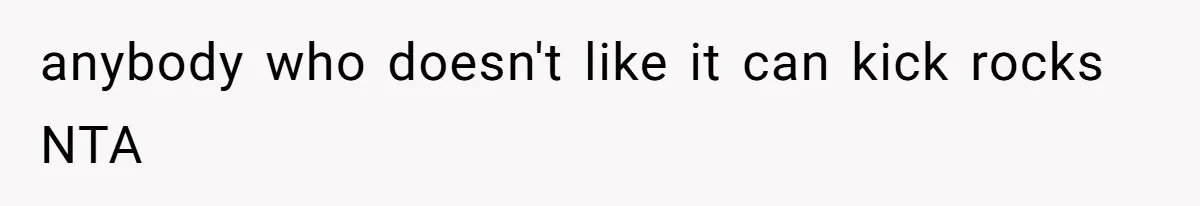 anybody who doesn't like it can kick rocks NTA