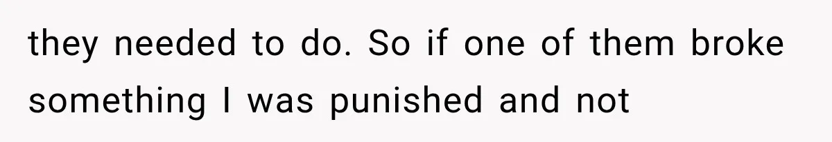 they needed to do. So if one of them broke something I was punished and not