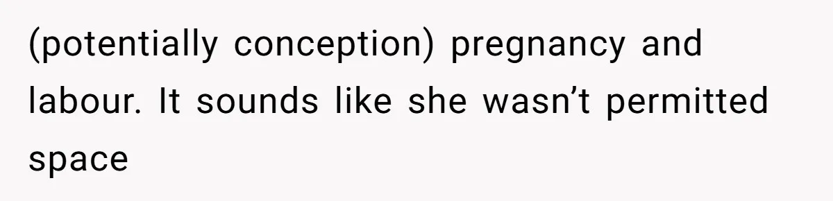 The Maternal Mirage: Inside The Twisted Mind Of A Bio-Mother Who Threatens To "End" Her Child For Existing (potentially conception) pregnancy and labour. It sounds like she wasn’t permitted space