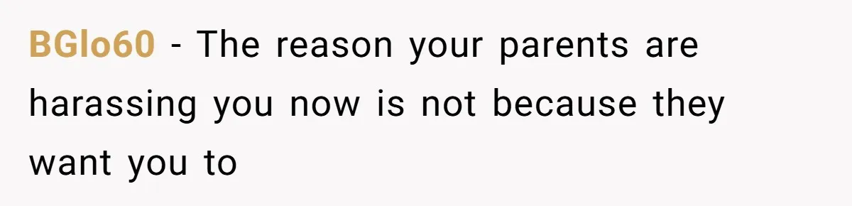 The Parental Failure: How Condoning An ASD Child’s Aggression Permanently Poisoned Their Son’s Childhood Sanctuary BGlo60 − The reason your parents are harassing you now is not because they want you to