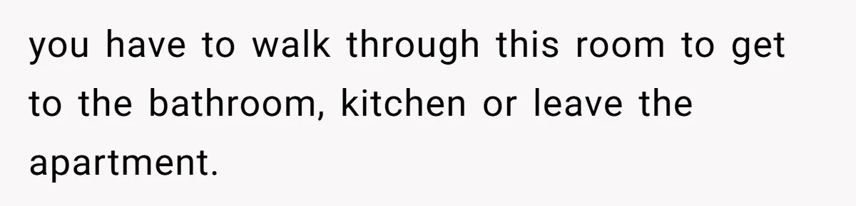 Tenant Trapped In Bedroom After Roommate Colonizes Shared Living Room 24/7 And Starts Sleeping On The Couch you have to walk through this room to get to the bathroom, kitchen or leave the apartment.