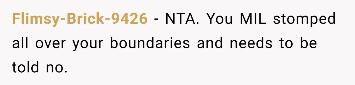 Flimsy-Brick-9426 − NTA. You MIL stomped all over your boundaries and needs to be told no.