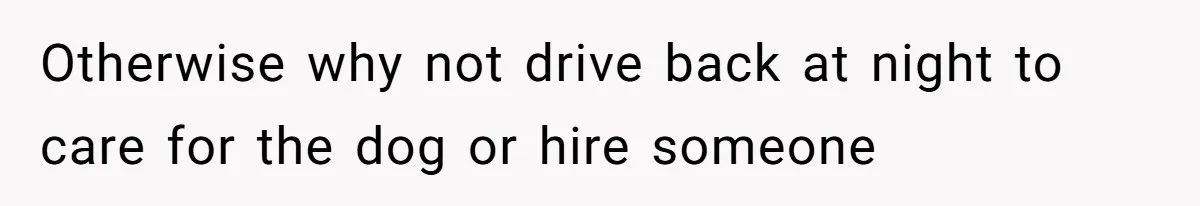 Otherwise why not drive back at night to care for the dog or hire someone