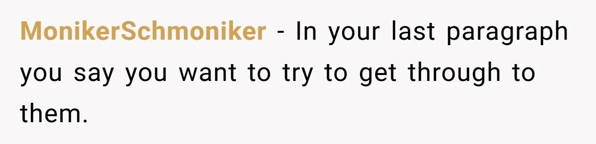MonikerSchmoniker − In your last paragraph you say you want to try to get through to them.