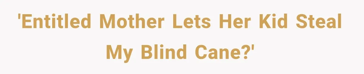 Mother Claimed She Was Faking Blindness, Then Let Her Son Steal The One Thing She Needed Most 'Entitled mother lets her kid steal my blind cane?'